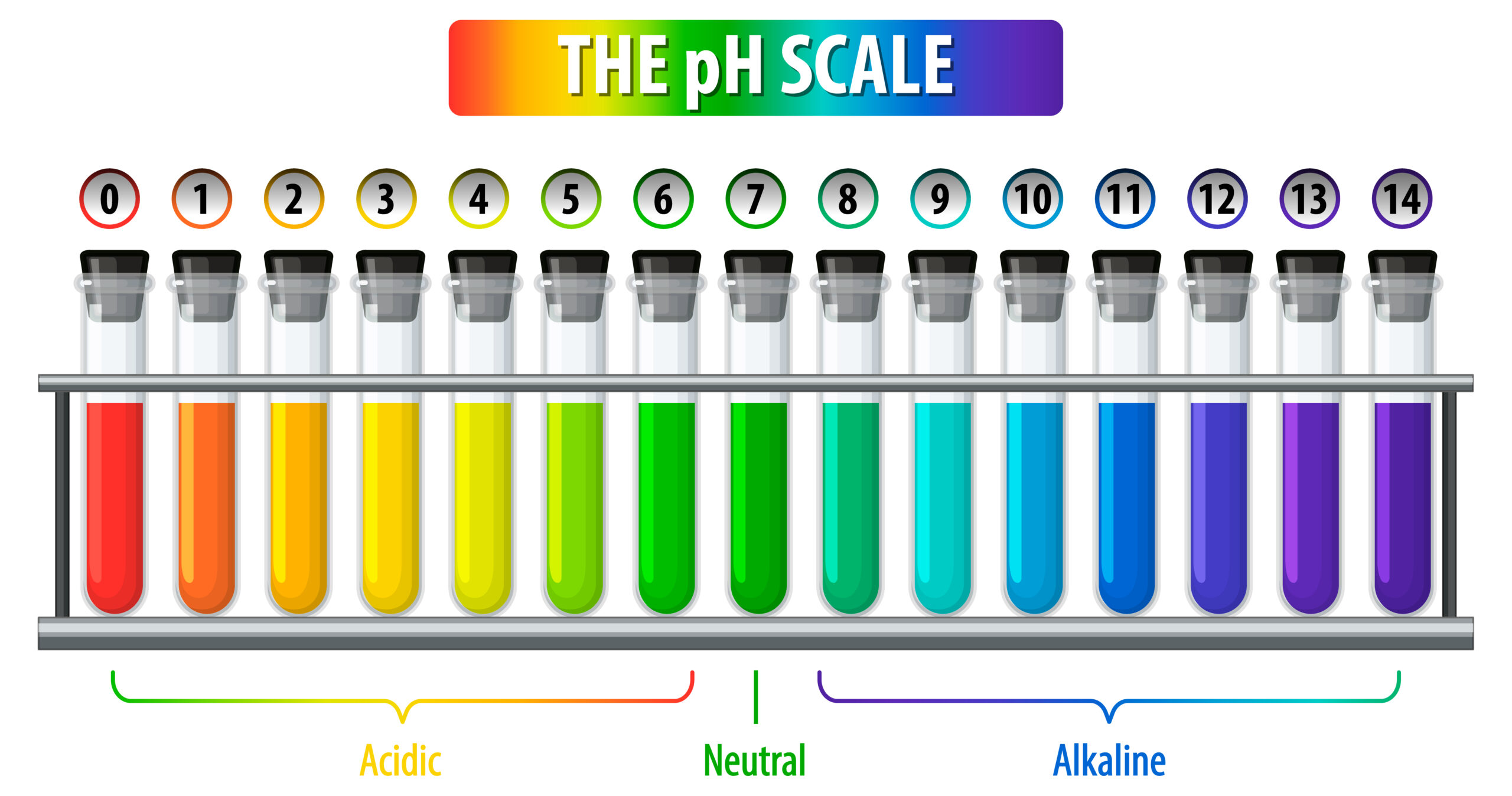 A pH scale on white background illustration