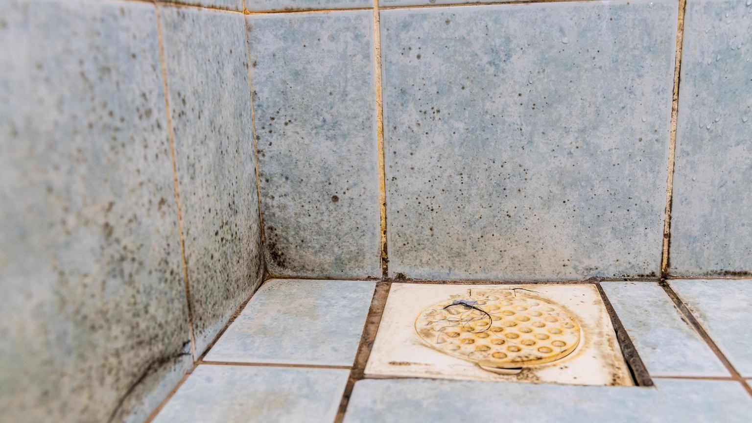 Brudne fugi w łazience przed czyszczeniem – osady, wilgoć i pleśń